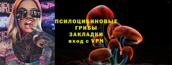 ECSTASY Осинники