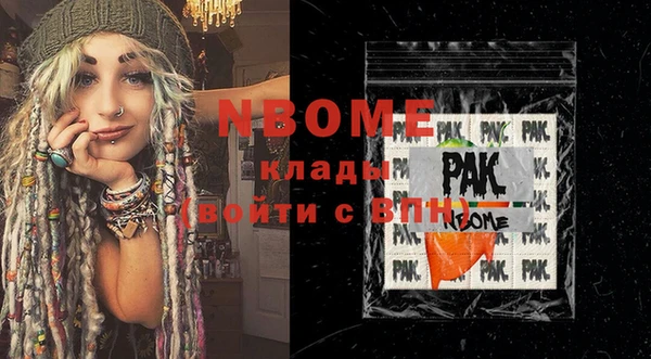 шишки Няндома