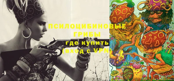 шишки Няндома