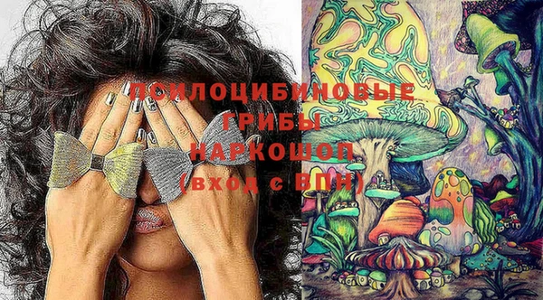 спиды Нягань