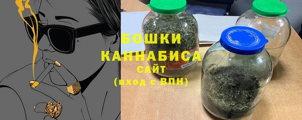 шишки Няндома