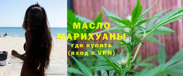 шишки Няндома