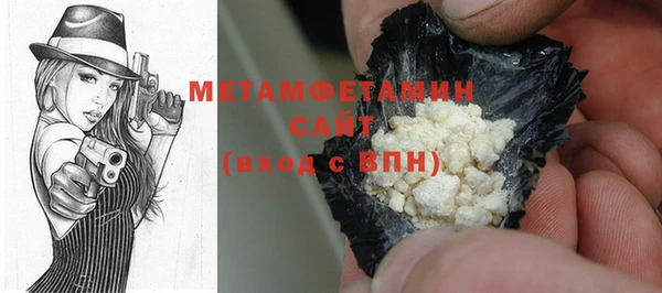 шишки Няндома