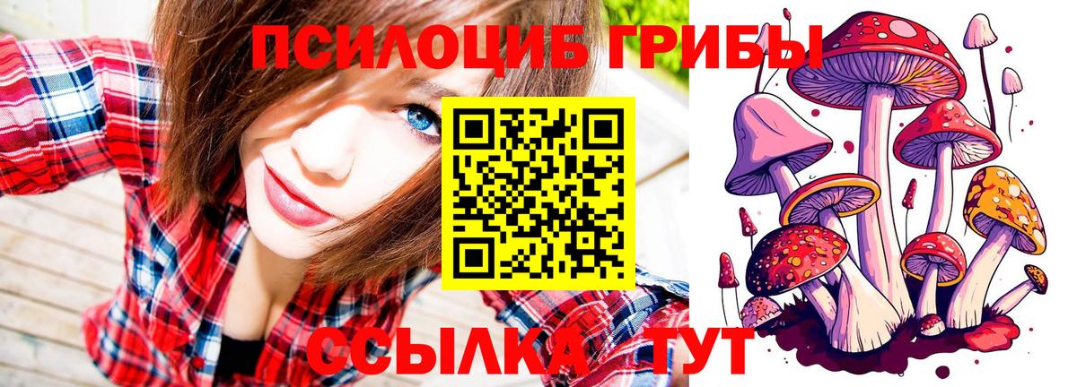 Псилоцибиновые грибы MAGIC MUSHROOMS  Лиски 
